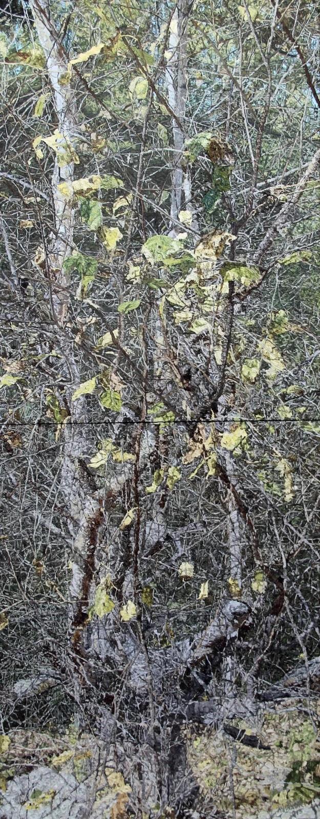 微信圖片_20210122103616.jpg 微信圖片_20210122103616.jpg