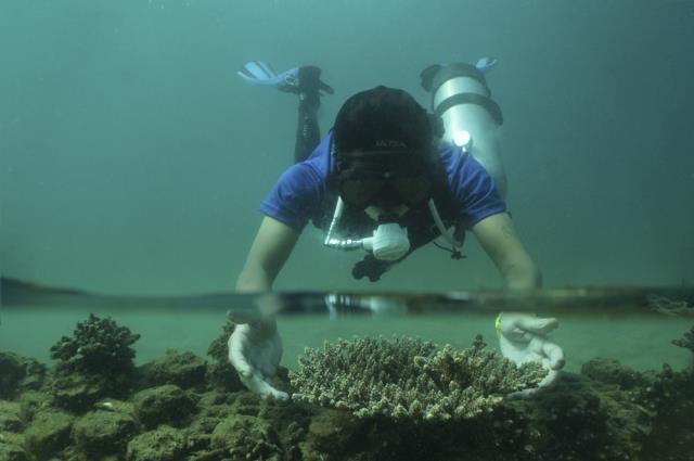 31 (1).jpg 31 (1).jpg