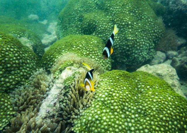 31 (2).jpg 31 (2).jpg