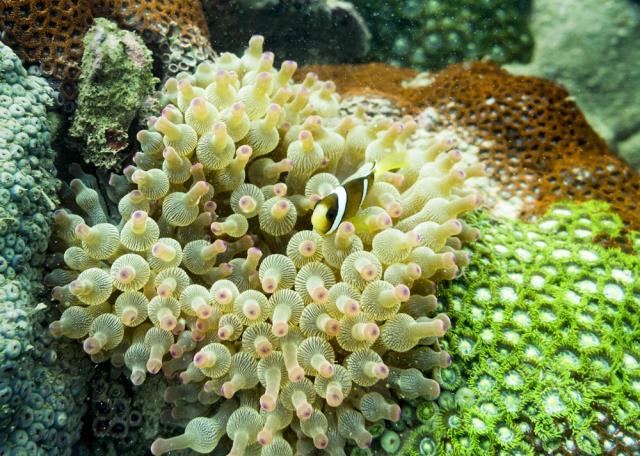 31 (3).jpg 31 (3).jpg