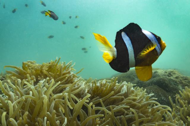 31 (4).jpg 31 (4).jpg