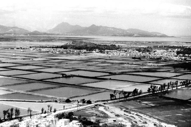 34 (2).jpg 34 (2).jpg